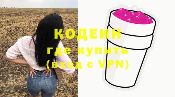 ECSTASY Кукмор