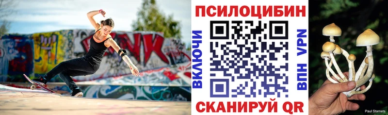 купить закладку  Омск  ссылка на мегу ONION  Галлюциногенные грибы MAGIC MUSHROOMS 