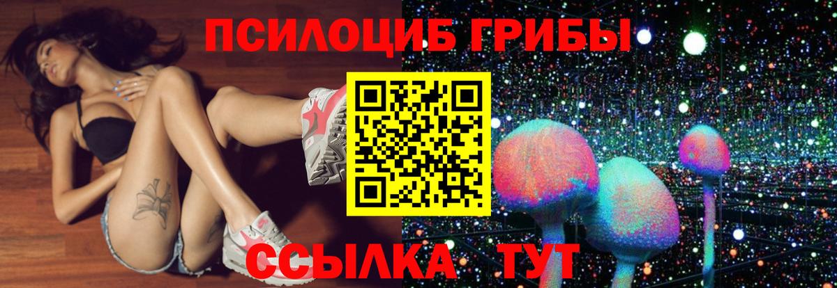 Омск  Псилоцибиновые грибы Psilocybe  Псилоцибиновые грибы GOLDEN TEACHER  Вход с VPN 