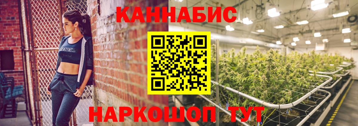 Бошки марихуана ГИДРОПОН  Бошки марихуана планчик  Марихуана гибрид  Омск  Вход с VPN 